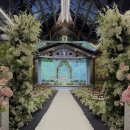 케이스크린 | 신촌 케이터틀 컨벤션홀 어두운홀 아이폰스냅 촬영 후기