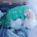 펜션메이23