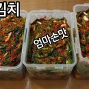 열무김치 / 엄마손맛 이미지