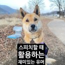 🏜복 있는 사람은 //굶어봐야 세상을 안다고 하는 데 ... 이미지