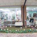 엘리에셀(ELIEZER) | 인덕원 미용실 서연쌤 살롱 엘리에셀에서 뿌리염색, 클리닉 받고 온 후기