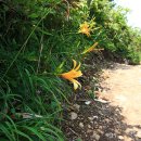 하늘에서 땅끝까지 이미지