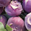 이원농장 이미지