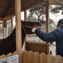 용미농장 이미지