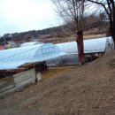 천관농장 이미지