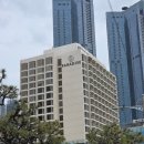 하얀장 | [부산]파라다이스호텔 신관 시티 트윈룸&amp;씨메르 후기♡