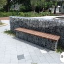 강조경 이미지