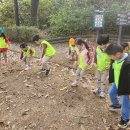 구립초롱별어린이집 이미지