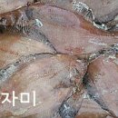 화진호이선장네 티스토리