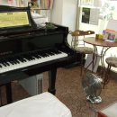 예원피아노학원 이미지