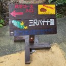 유토피아관광호텔 | [미야코지마 태교여행 Day.2 볼거리] 유토피아 팜_비 오는 날 미야코지마 즐기기