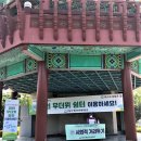 여수울공원(물놀이장) 이미지