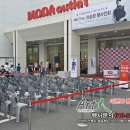 대전모다트루젠