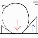 평화(두상) 이미지