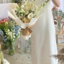 브리지데이 이미지