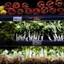 주식회사 창인 이미지