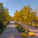 어린이대공원 이미지