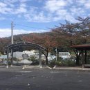 대회리약수터 C뉴스041