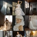 켈리플라워