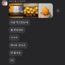 진도여라 | 상품후기