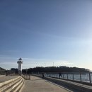 개올나잇 | 부산 가덕도 애견카페 개올나잇후기｜바다뷰 좋은 오프리쉬 가능 애견동반 카페