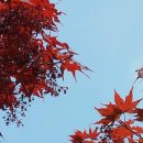 금강온천 이미지