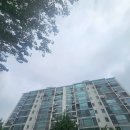 대림2차(시화대림2단지) 이미지