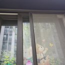 미래나무어린이집 | 어린이가 미래다! 미래나무 어린이집 유리청소 후기