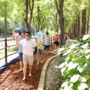 진달래공원 이미지