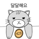 비엠모터스 - 김해시 여래로20번길 73 | 비엠모터스