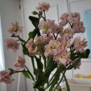 리빙프라자 주식회사 장산역점 | 삼성디지털프라자 관악봉천점:) 구입후기 갤럭시워치4핑크골드♡