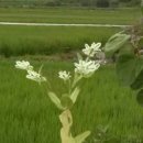 중앙2길 이미지