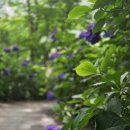 망산공원 이미지