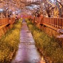 여좌천거리 이미지