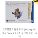 멍냥이옷장