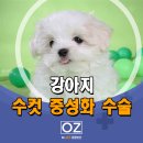 Dr.오즈동물병원 이미지
