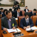 김수의과동물병원 이미지