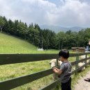 재희목장 이미지