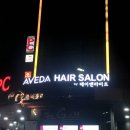 라이프앤어번던스 | 신촌 염색 역시 데이앤라이프 +두피케어