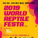 렙타일 월드 네이버블로그