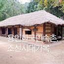 정연단열 | 한국민속촌 조선시대가옥 예약팁 가을에 가볼만한 곳
