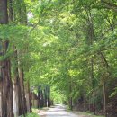 충무승마장 이미지