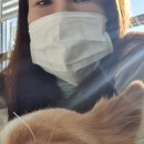 관저종합동물병원 이미지