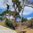 화원2리마을회관 이미지