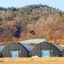 늘픔농장 네이버블로그