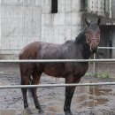 샘터휴양펜션 이미지