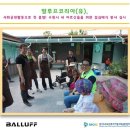 발루프코리아