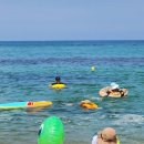 주문진시장약국 이미지