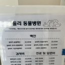 둘리동물병원 | [둘리 동물병원] 강아지 눈병, 귀염증 치료, 강아지 간식, 강아지 용품점, 쌍문 동물병원, 도봉구 동물...