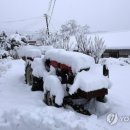 동해시-37 이미지